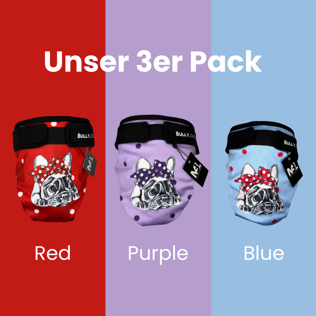 Bully-Pants – Französische Bulldogge | MyBullyLove®