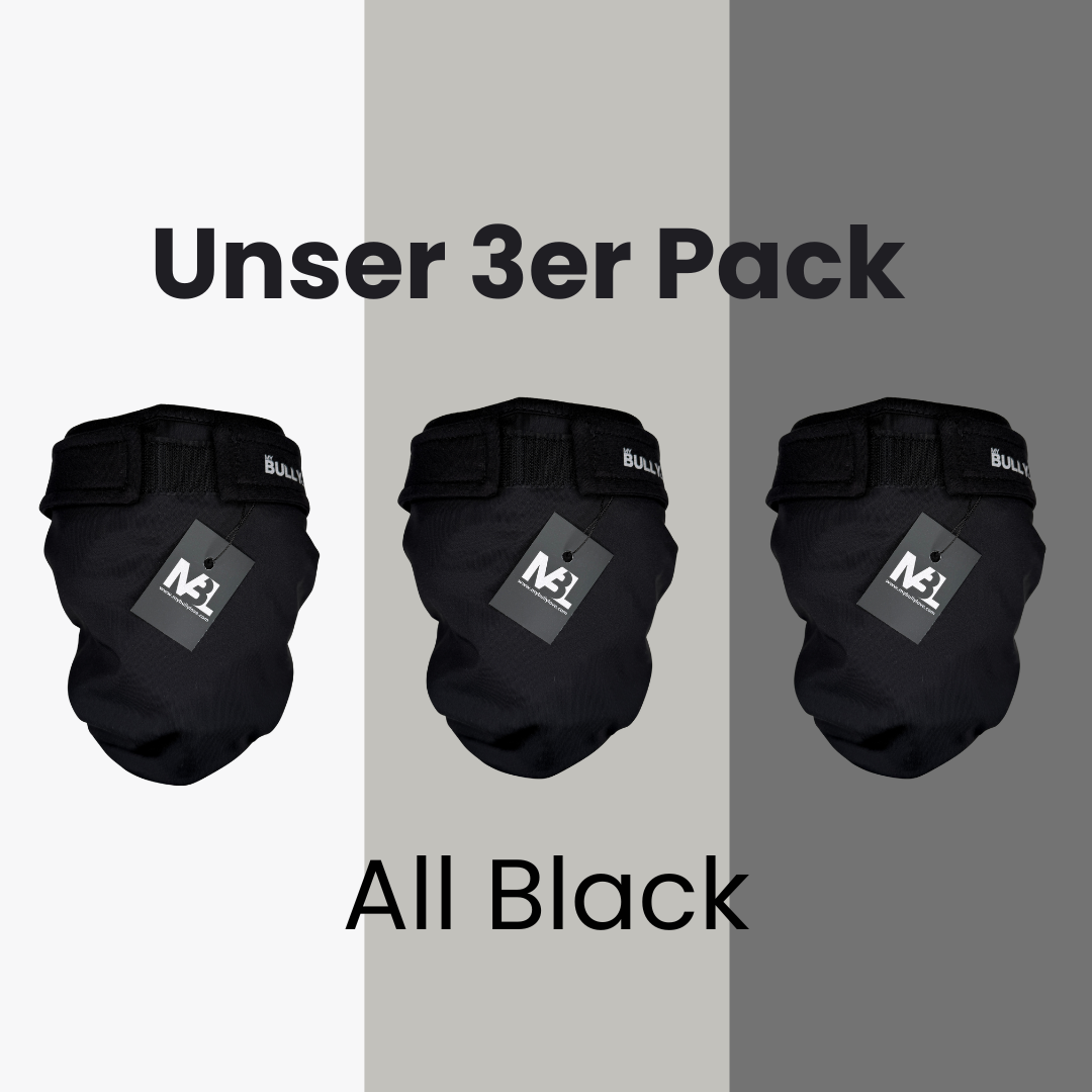 Bully-Pants – Französische Bulldogge | MyBullyLove®