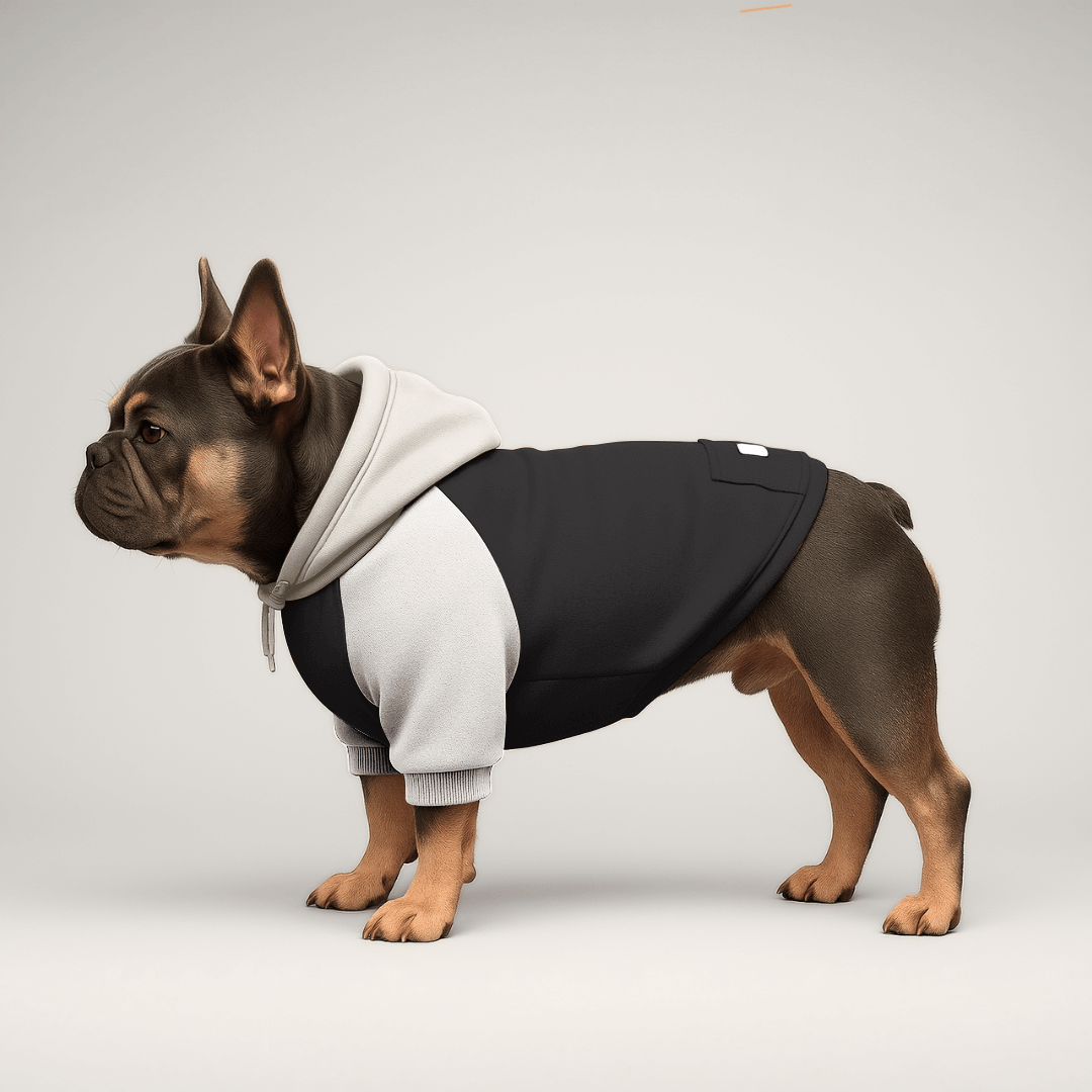 BULLÉ Hoodie – Französische Bulldogge | MyBullyLove®