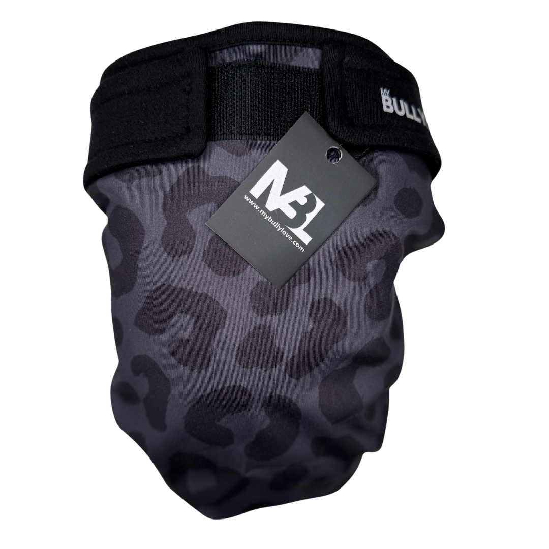 Bully-Pants – Französische Bulldogge | MyBullyLove®