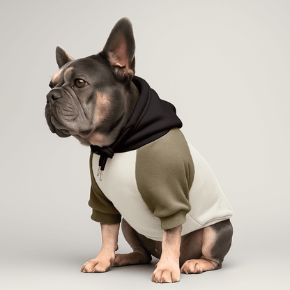 BULLÉ Hoodie – Französische Bulldogge | MyBullyLove®