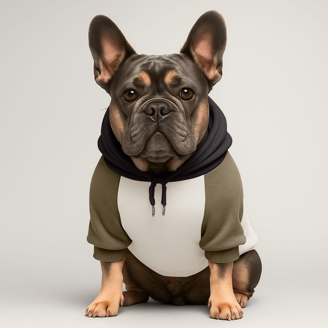 BULLÉ Hoodie – Französische Bulldogge | MyBullyLove®