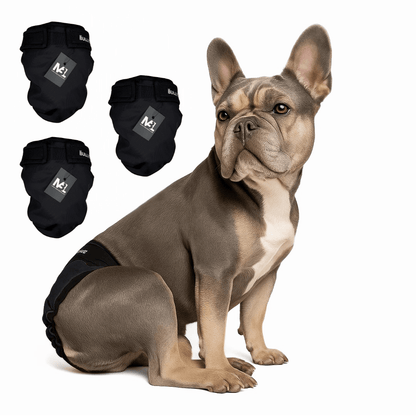 Läufigkeitshöschen für Französische Bulldoggen in All Black 3er Set von MyBullyLove