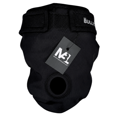 Läufigkeitshöschen für Französische Bulldoggen in All Black mit Rutenloch von MyBullyLove