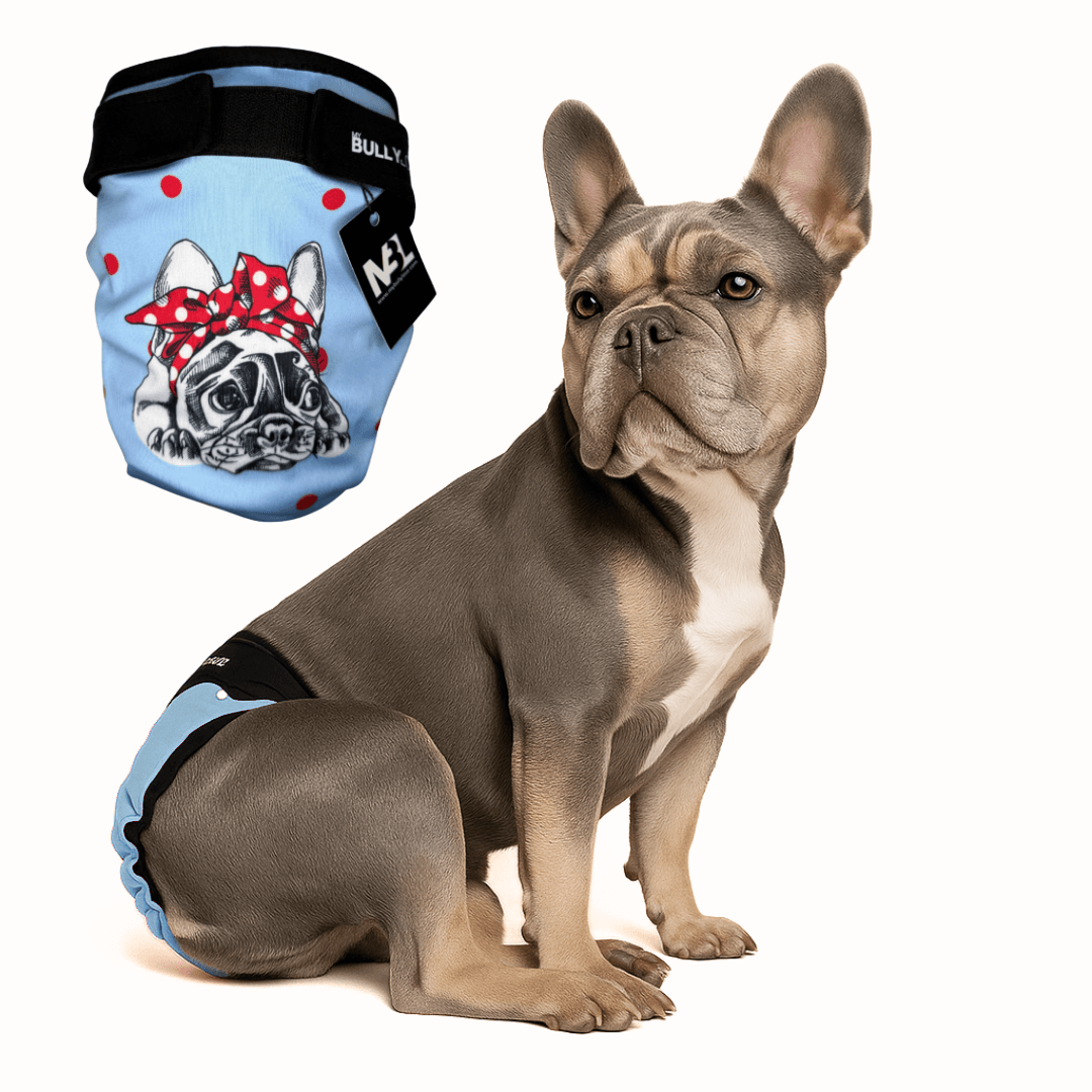 Läufigkeitshöschen für Französische Bulldoggen in Blue von MyBullyLove