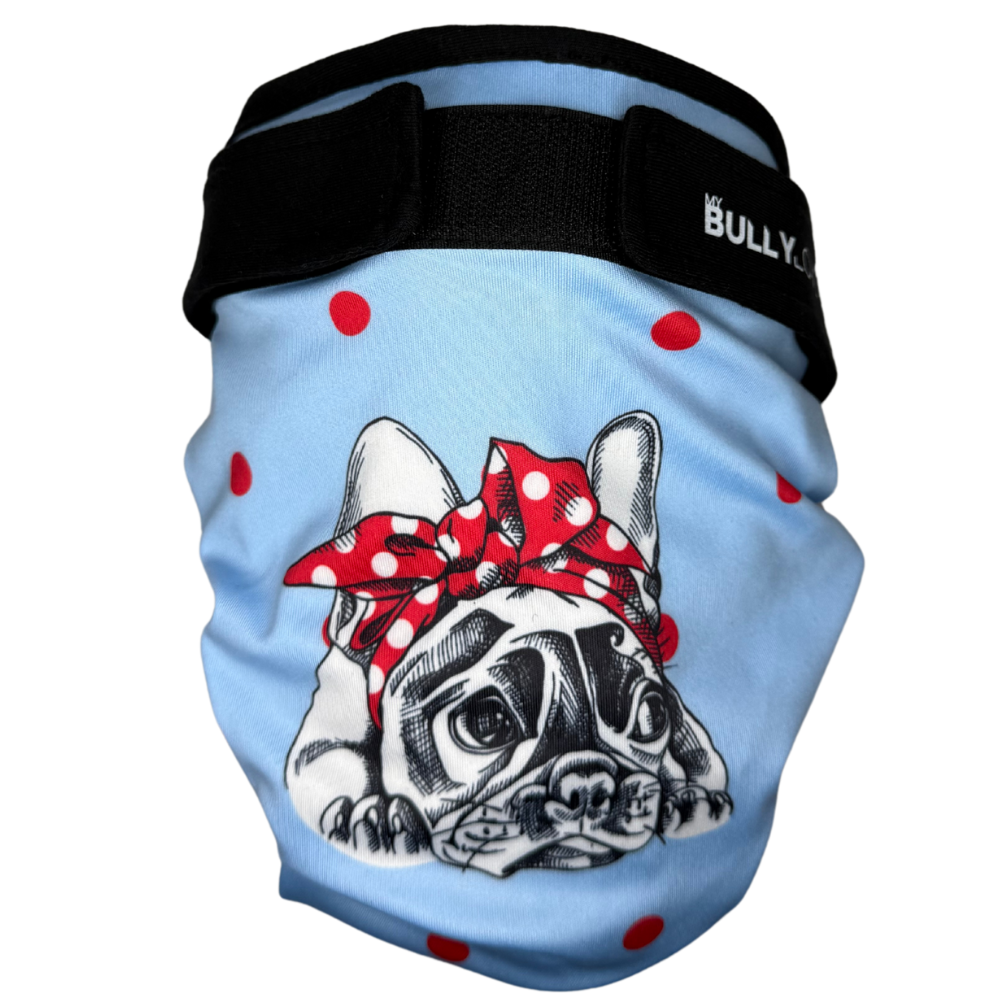 Läufigkeitshöschen für Französische Bulldoggen in Blue von MyBullyLove