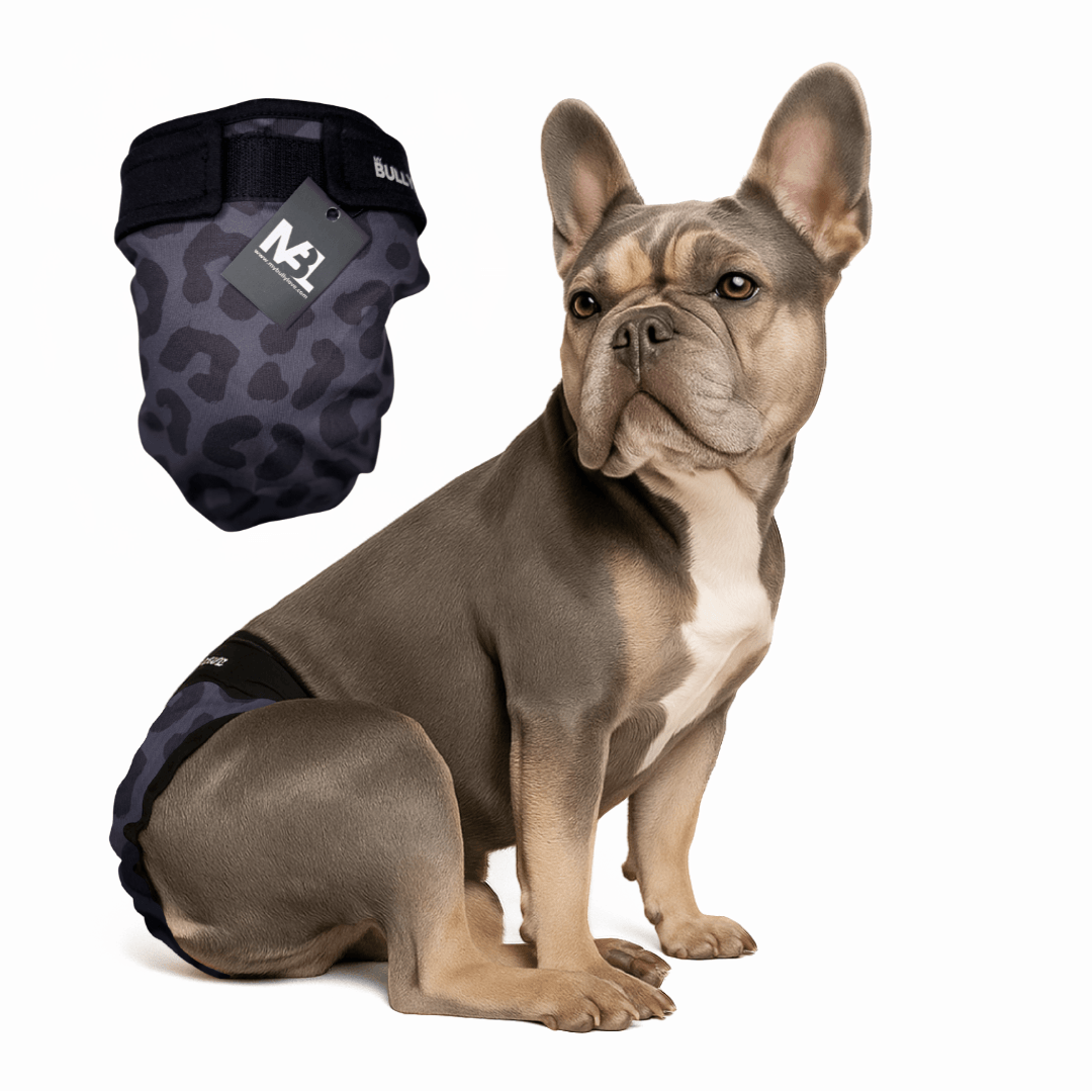 Läufigkeitshöschen für Französische Bulldoggen in Dark Leopard von MyBullyLove