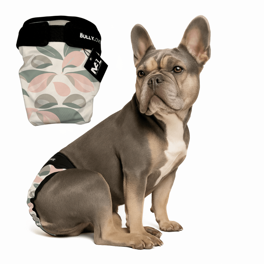 Läufigkeitshöschen für Französische Bulldoggen in Flowers von MyBullyLove