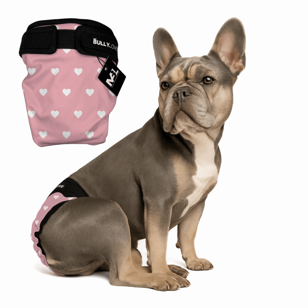 Läufigkeitshöschen für Französische Bulldoggen in Hearts von MyBullyLove