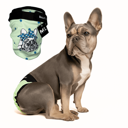 Läufigkeitshöschen für Französische Bulldoggen in Mint von MyBullyLove