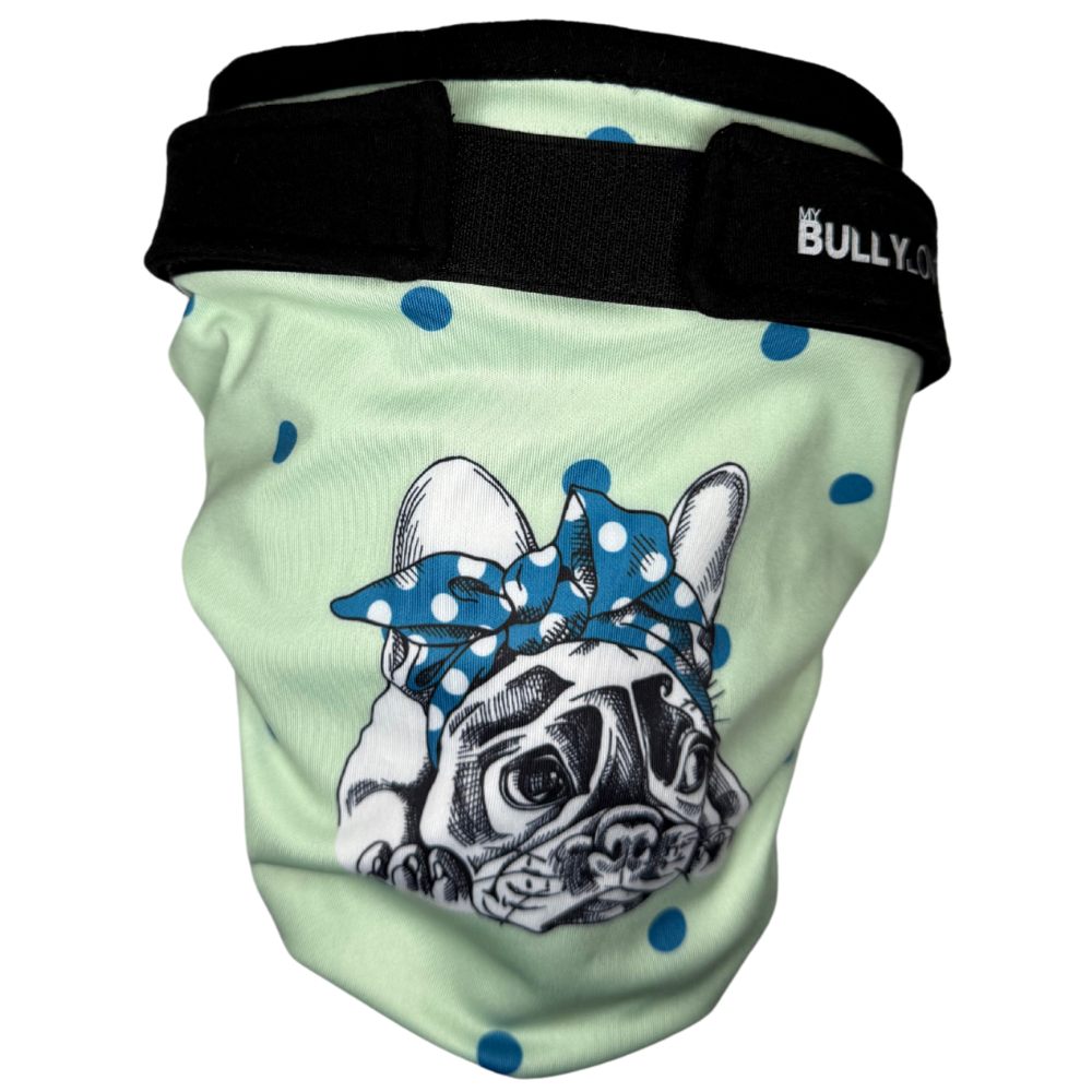 Läufigkeitshöschen für Französische Bulldoggen in Mint von MyBullyLove