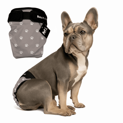 Läufigkeitshöschen für Französische Bulldoggen in Paws von MyBullyLove