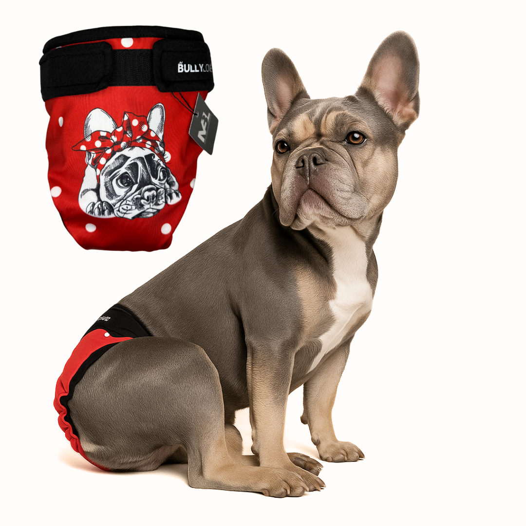 Läufigkeitshöschen für Französische Bulldoggen in Red von MyBullyLove