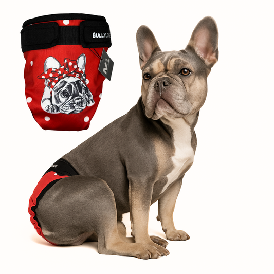 Läufigkeitshöschen für Französische Bulldoggen in Red von MyBullyLove