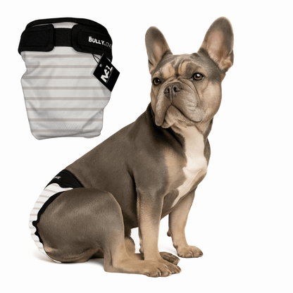 Läufigkeitshöschen für Französische Bulldoggen in Stripes von MyBullyLove