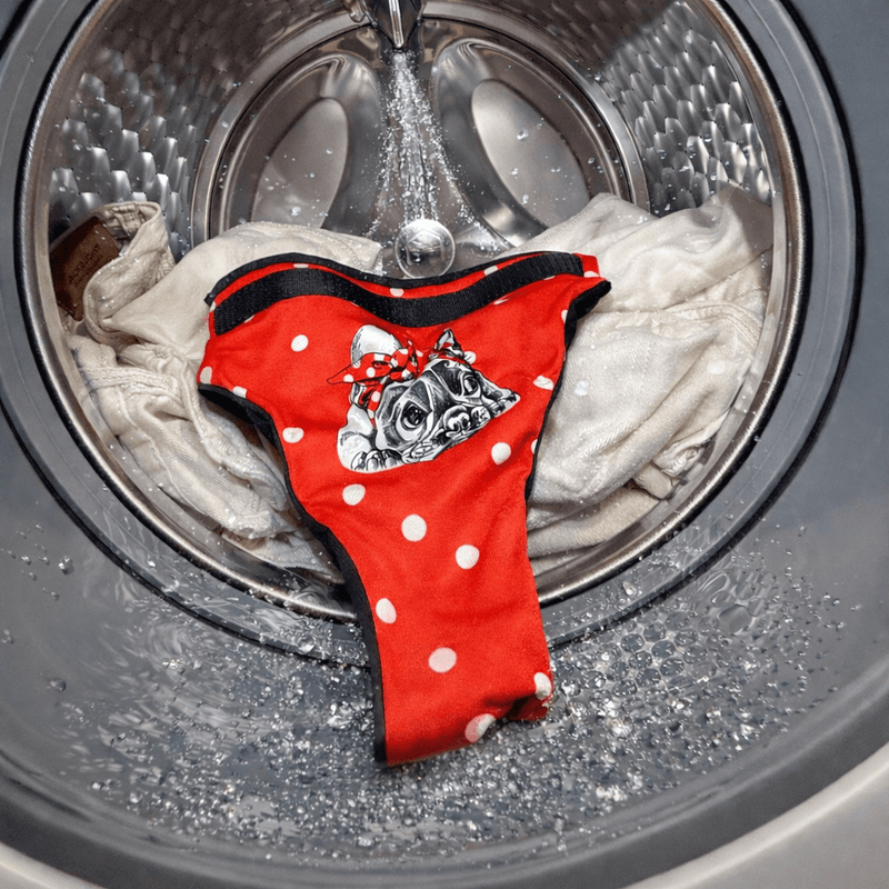 Pflegehinweis: Läufigkeitshöschen für Französische Bulldoggen bei 40 Grad waschbar